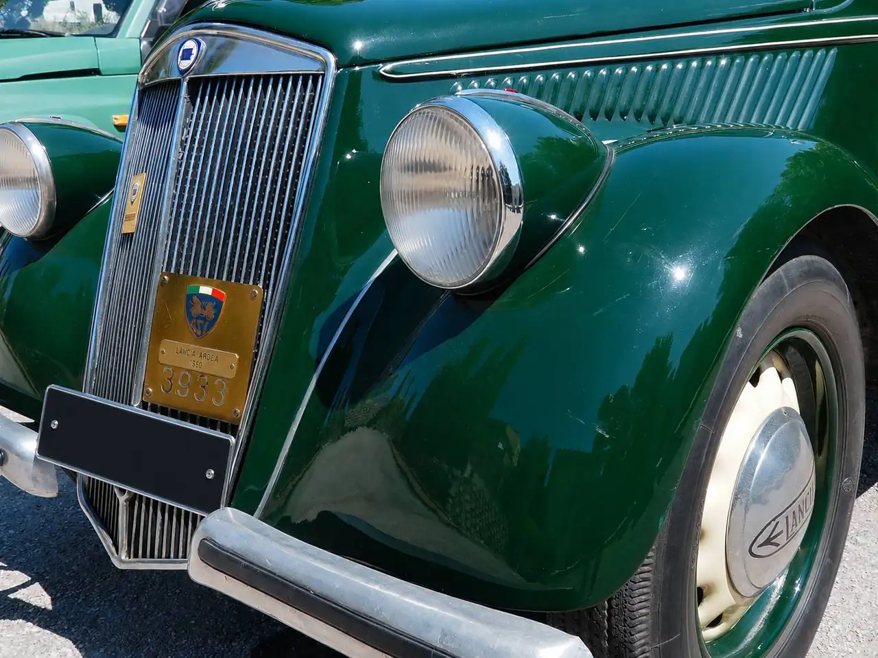 Lancia ardea, foto 6