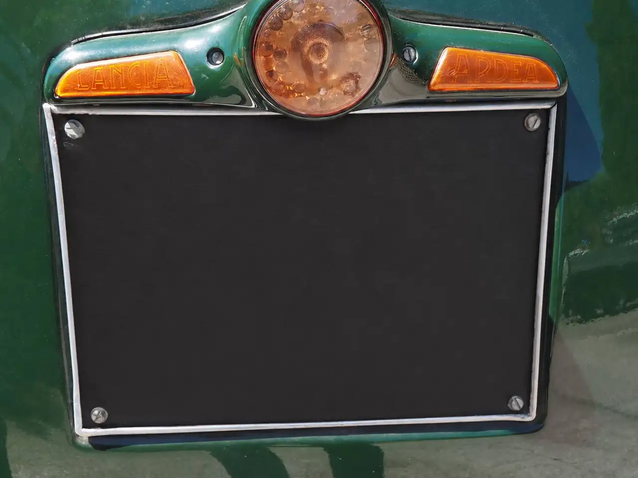 Lancia ardea, foto 5