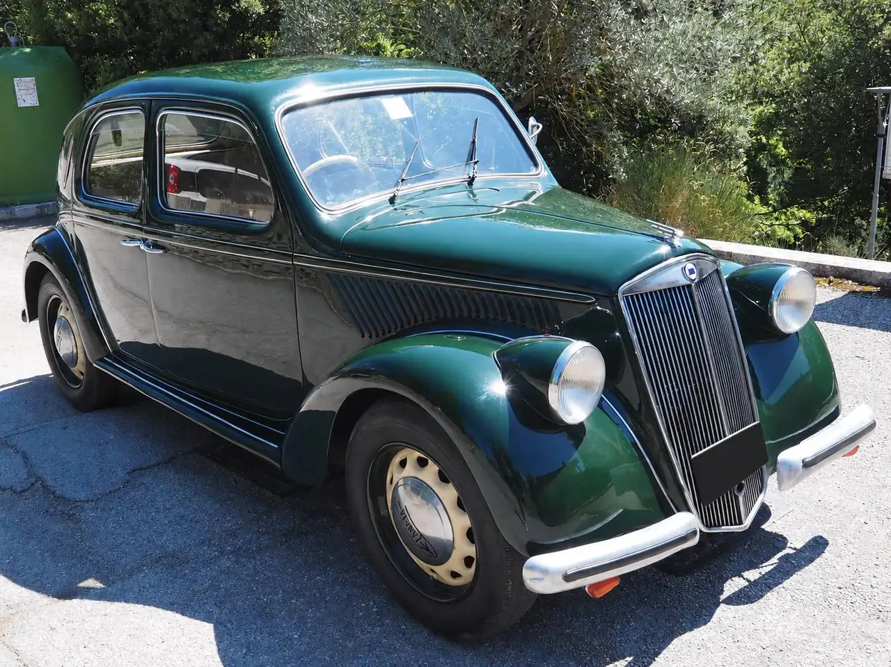 Lancia ardea, foto 2