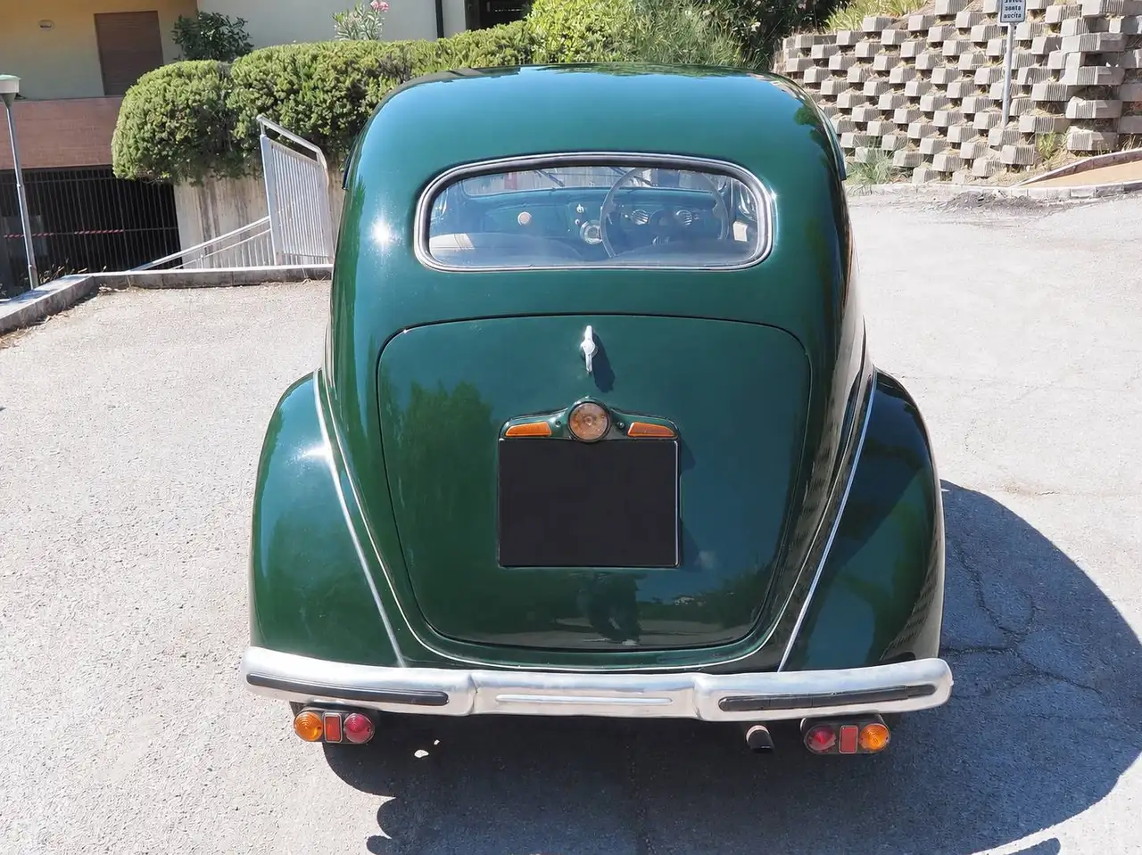 Lancia ardea, foto 3