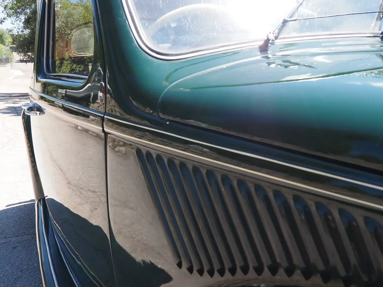 Lancia ardea, foto 8