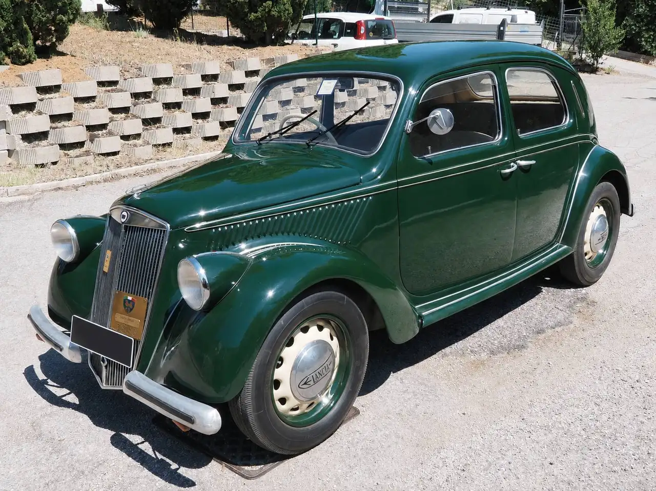 Lancia ardea, foto 7