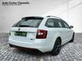 Skoda Octavia Combi DSG RS 245 AHK/LED/Navi/SHZ/PDC Wit - thumbnail 5