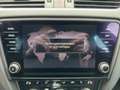 Skoda Octavia Combi 2.0 TSI DSG RS 245 AHK/LED/Navi/SHZ Wit - thumbnail 20