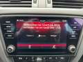 Skoda Octavia Combi 2.0 TSI DSG RS 245 AHK/LED/Navi/SHZ Wit - thumbnail 18