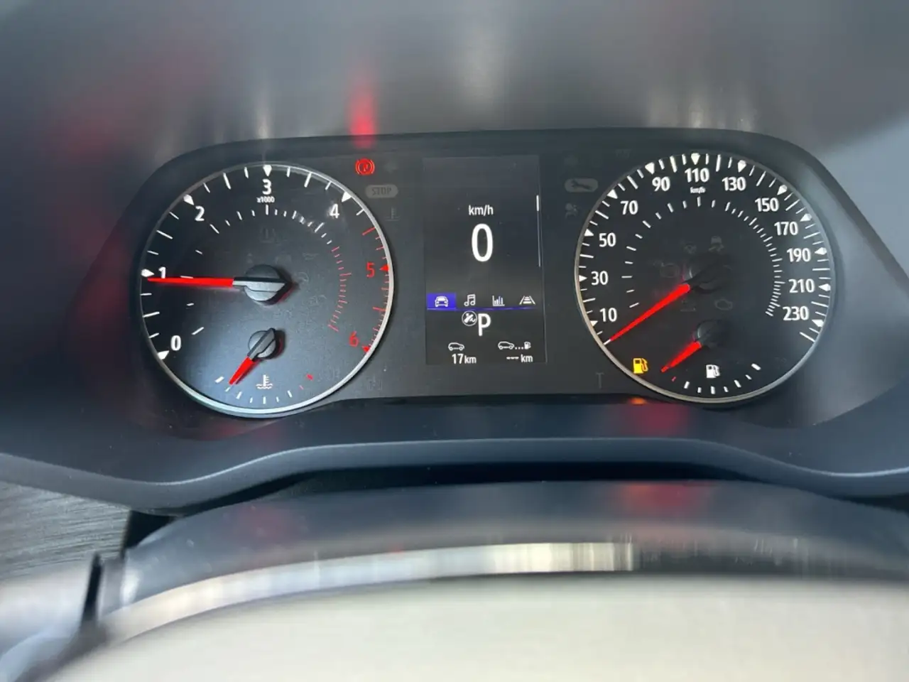 Renault Trafic L2H1 2.0 BLUE dCI LED Temp CarPlay DAB PDC 13