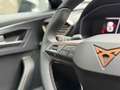 CUPRA Formentor 1.4 e-Hybrid Adrenaline | Stoelverwarming | Stuurv Gris - thumbnail 21