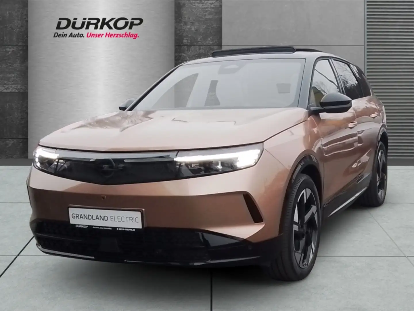 Opel Grandland GS 73kWh Komfort-Paket Tech 20Zoll-Alu HUD digital Bej - 1