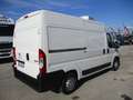 Fiat Ducato 2.0 P.MEDIO 160CV E6 FRIGO ATP 10/25 STRADA/RETE Bianco - thumbnail 4