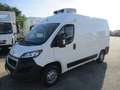 Fiat Ducato 2.0 P.MEDIO 160CV E6 FRIGO ATP 10/25 STRADA/RETE Bianco - thumbnail 3