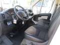 Fiat Ducato 2.0 P.MEDIO 160CV E6 FRIGO ATP 10/25 STRADA/RETE Bianco - thumbnail 12