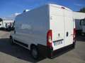 Fiat Ducato 2.0 P.MEDIO 160CV E6 FRIGO ATP 10/25 STRADA/RETE Bianco - thumbnail 6