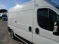 Fiat Ducato 2.0 P.MEDIO 160CV E6 FRIGO ATP 10/25 STRADA/RETE Bianco - thumbnail 9