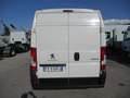 Fiat Ducato 2.0 P.MEDIO 160CV E6 FRIGO ATP 10/25 STRADA/RETE Bianco - thumbnail 5