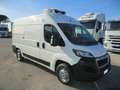 Fiat Ducato 2.0 P.MEDIO 160CV E6 FRIGO ATP 10/25 STRADA/RETE Bianco - thumbnail 1