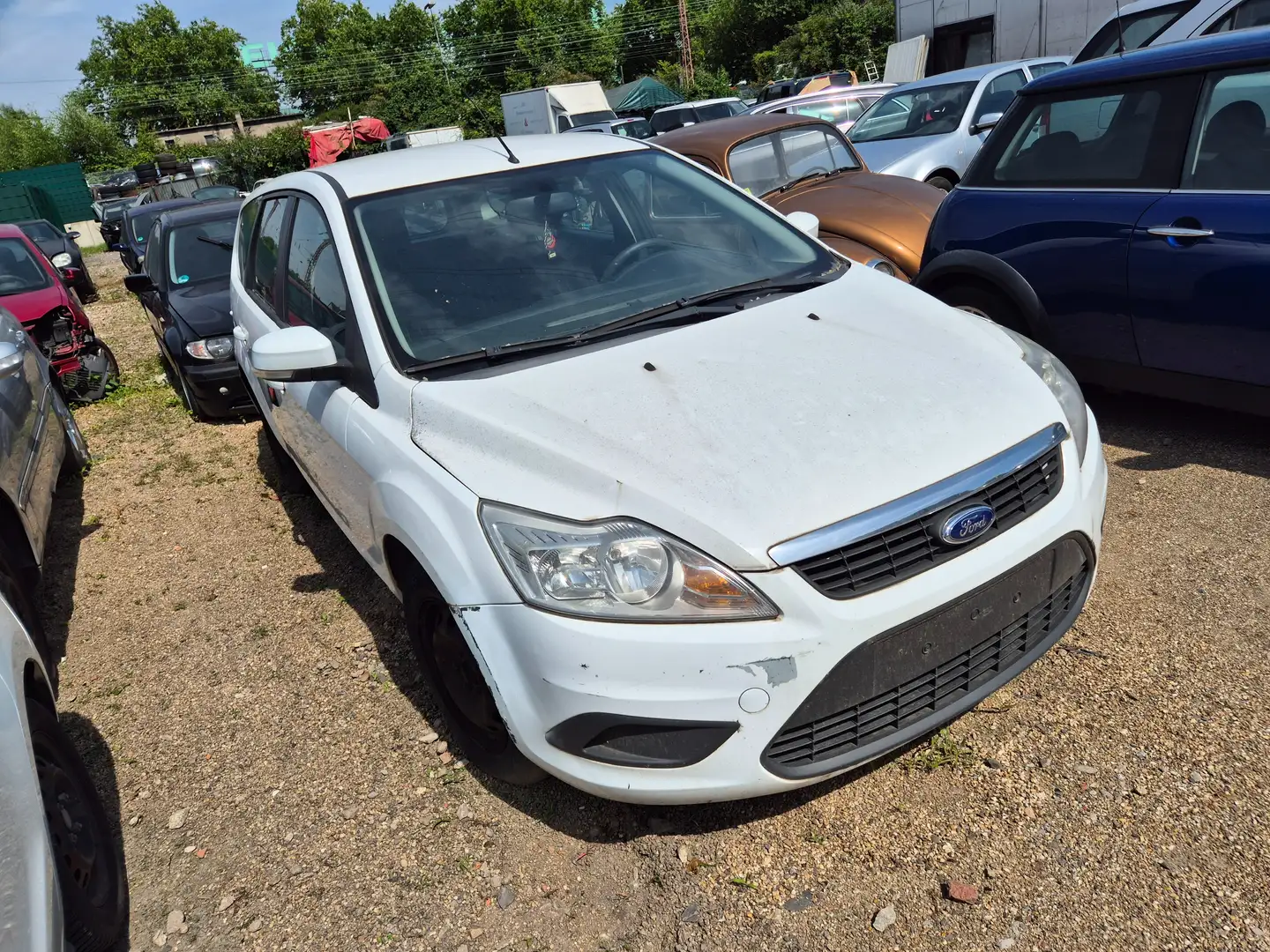 Ford Focus Style Alb - 1