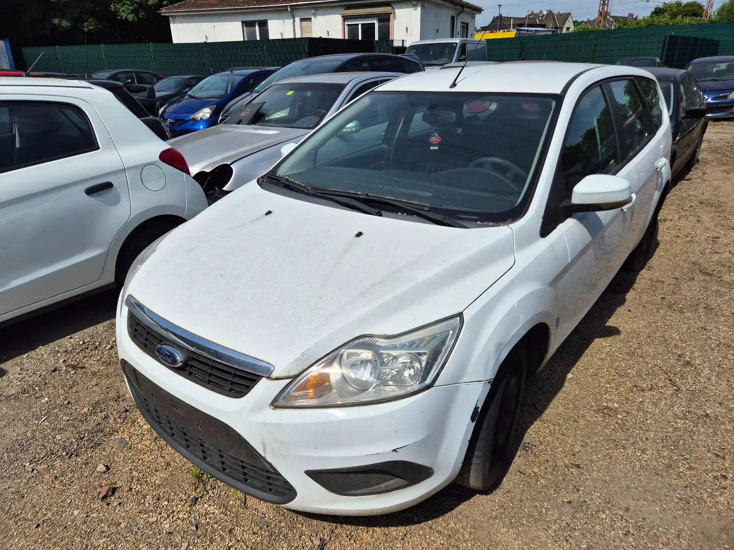 Ford Focus Style Alb - 2