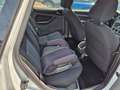 Ford Focus Style Alb - thumbnail 6