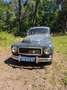 Volvo PV544 B18 Grau - thumbnail 2
