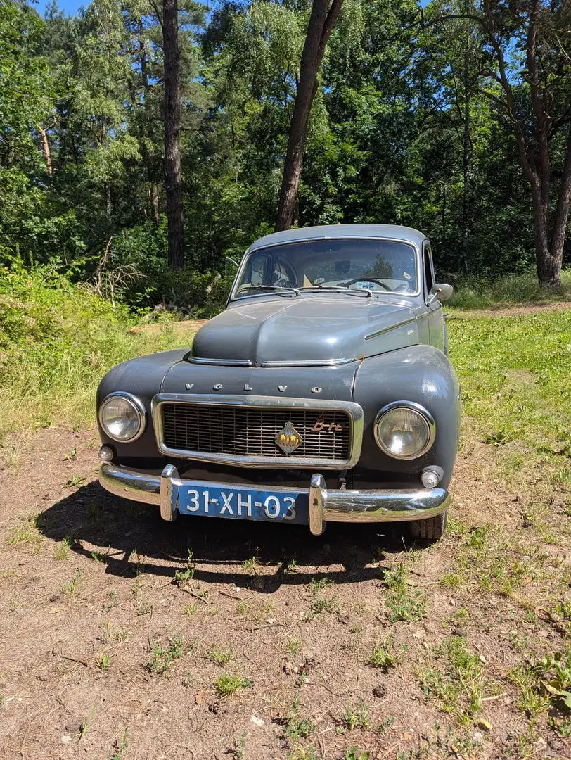 Volvo PV544 B18 Grau - 2