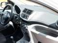 Suzuki Alto 1.0 *Garantie*TÜV White - thumbnail 13
