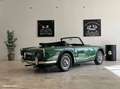 Triumph TR3 TR tr4 a irs Verde - thumbnail 4