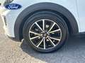 Ford Puma 1.0 EcoBoost MHEV Titanium 125 Blanco - thumbnail 11