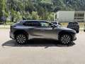 Subaru Solterra Nozomi 73kWh AWD Grau - thumbnail 4