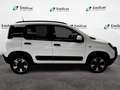 Fiat Panda 1.0 FireFly S&S Hybrid Weiß - thumbnail 2