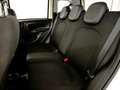 Fiat Panda 1.0 FireFly S&S Hybrid Weiß - thumbnail 16