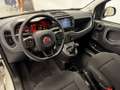 Fiat Panda 1.0 FireFly S&S Hybrid Weiß - thumbnail 9