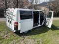 Volkswagen T5 Bianco - thumbnail 4