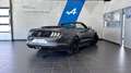 Ford Mustang Mustang Convertible V8 5.0 - thumbnail 5