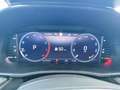 Skoda Fabia 130 Jahre Premium 116PS SHZ Kamera PDC Tot-Winkel Schwarz - thumbnail 22