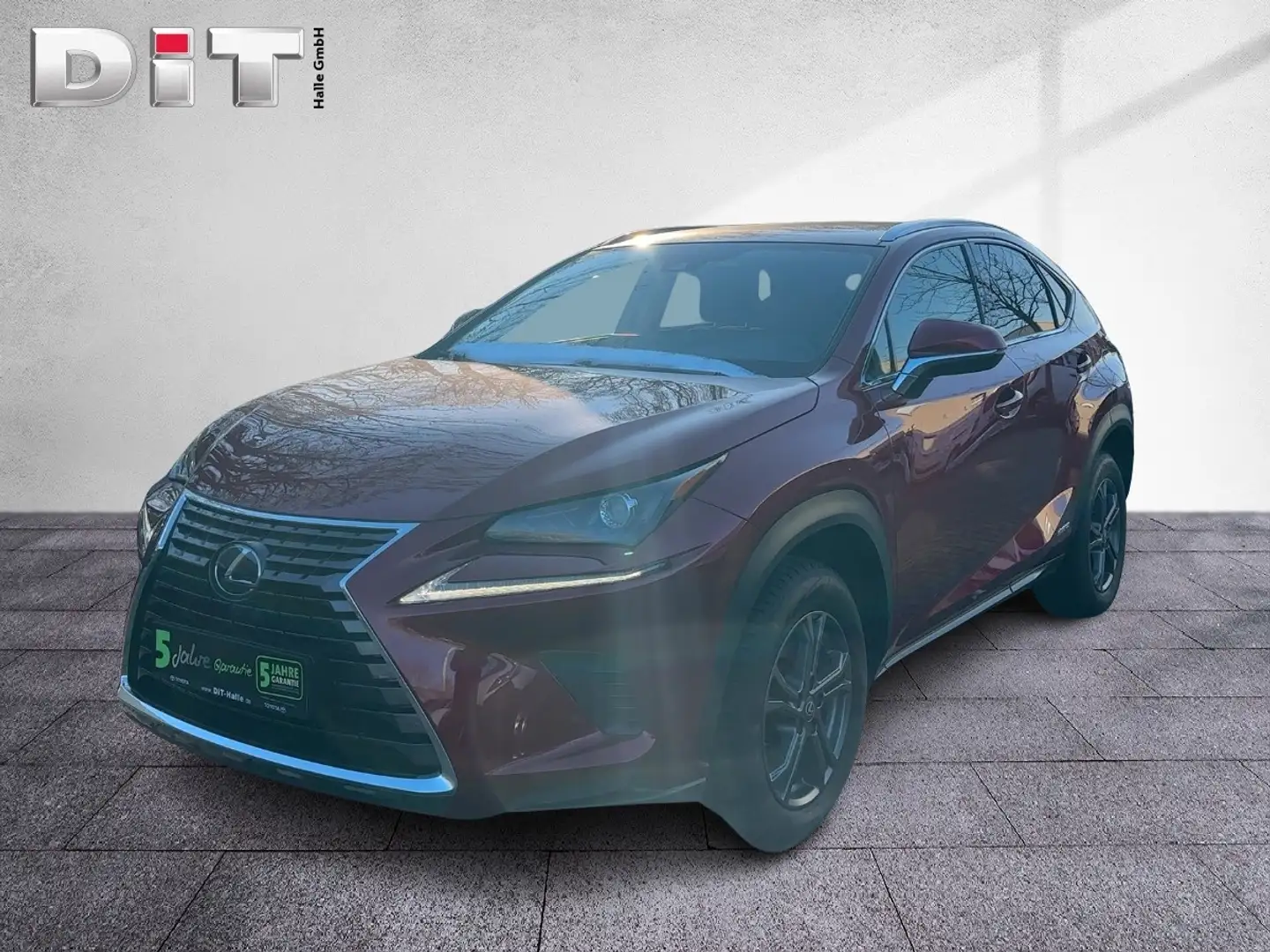 Lexus NX 300 h Amazing Edition Kamera Klima Sitzhzg Rot - 1