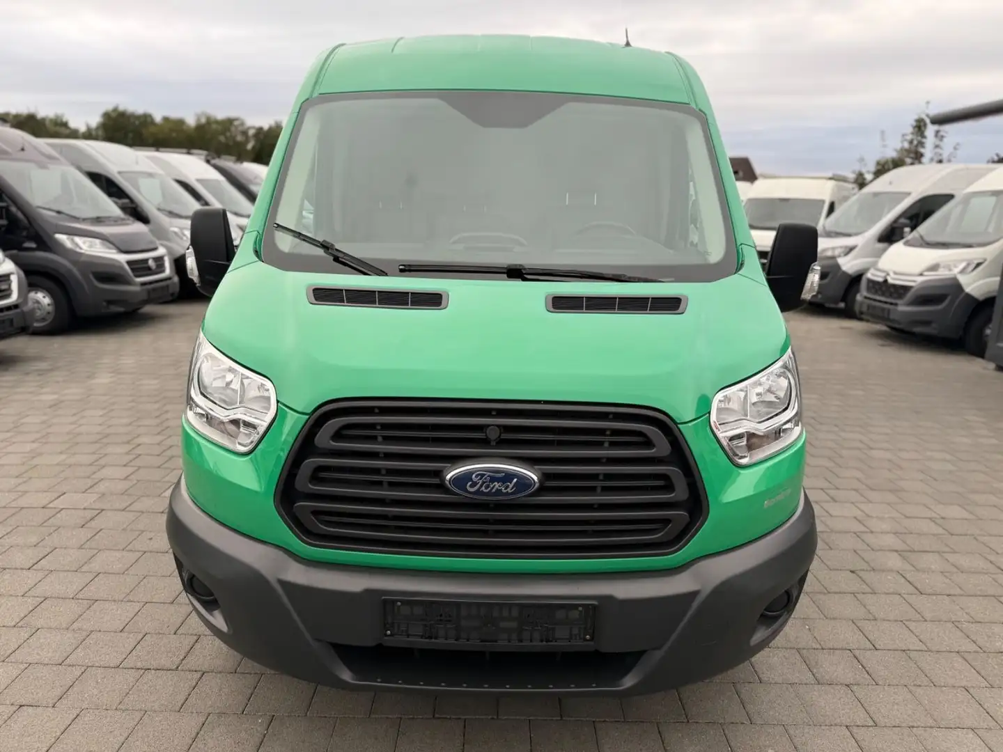 Ford Transit Kasten 350 L3 TüV + Service NEU 1.Hand Grün - 2