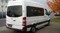 Mercedes-Benz Sprinter 213CDI. 9-SITZE!KLIMA !ST.HZ!1-HD!TOP! Blanc - thumbnail 5