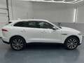 Jaguar F-Pace 20d AWD Prestige Aut. * SOFORT FINANZIERUNG MÖG... Weiß - thumbnail 6