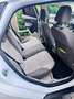 Ford Focus 1.0 EcoBoost Start-Stopp-System Champions Edition - thumbnail 5