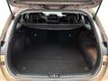Kia Ceed SW / cee'd SW Sportswagon 1.6 GDI PHEV ExecutiveLine Limited | L Bruin - thumbnail 31