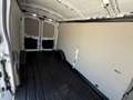 Ford Transit 350 96kW L3H2 Van Trend FWD MHEV Blanco - thumbnail 14