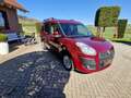 Fiat Doblo Easy*Behindertengerecht/Selbstfahrer Rouge - thumbnail 4
