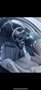 BMW 118 118d pack m frein m - thumbnail 5