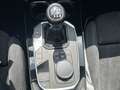 BMW 218 Gran Coupe M Sport,Panodach,Rückfahrk.,DAB,HIFI Gris - thumbnail 19