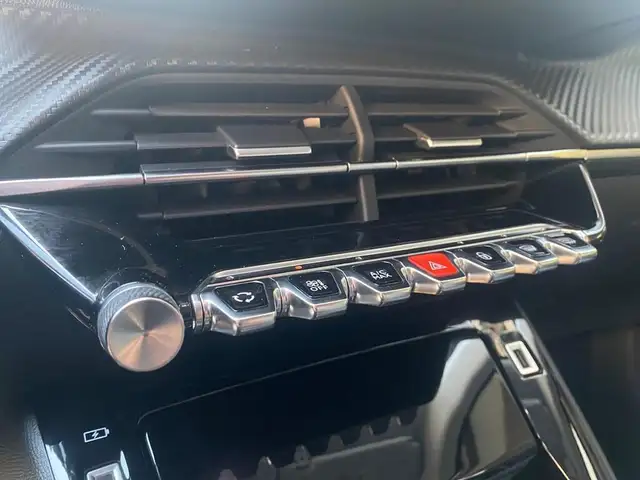 Peugeot 2008 view 11