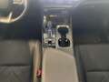 Lexus NX 450h+ E-Four Plug-in Business *CARPLAY* Schwarz - thumbnail 12