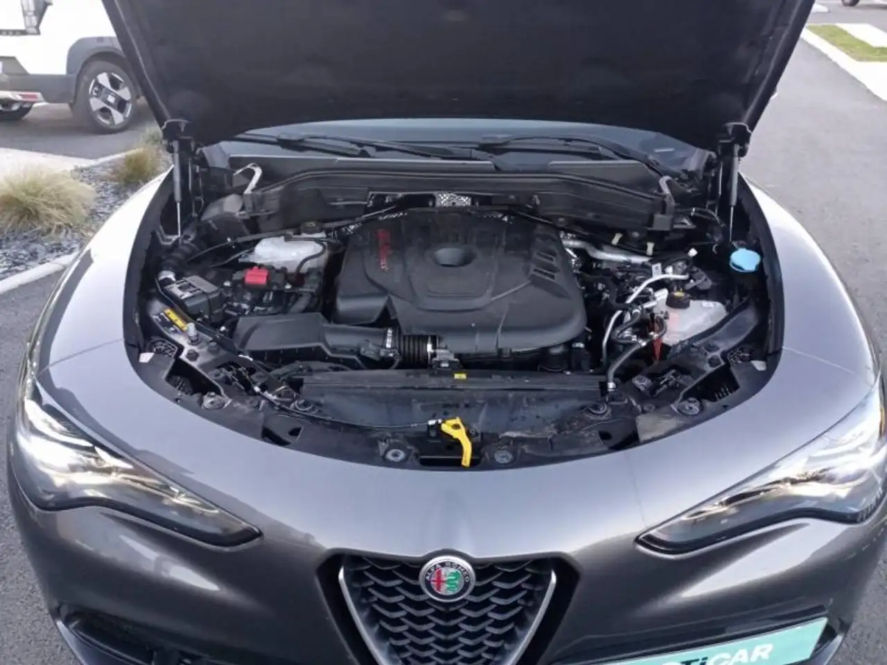 Alfa Romeo Stelvio 2024 — фото 13