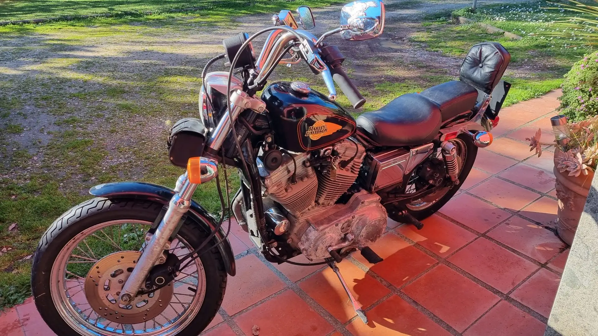 Harley-Davidson XL 883 Nero - 1