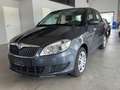 Skoda Fabia 1.6 TDI Ambiente SHZ/Temp/Klima Grau - thumbnail 1