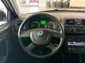 Skoda Fabia 1.6 TDI Ambiente SHZ/Temp/Klima Grau - thumbnail 12